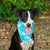 dog sitting outdoors on a forest background wearing a bright blue bandana that reads adopt me