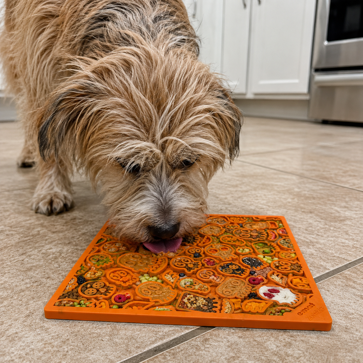 Terrier licking a black Skulls lick mat in a kitchen