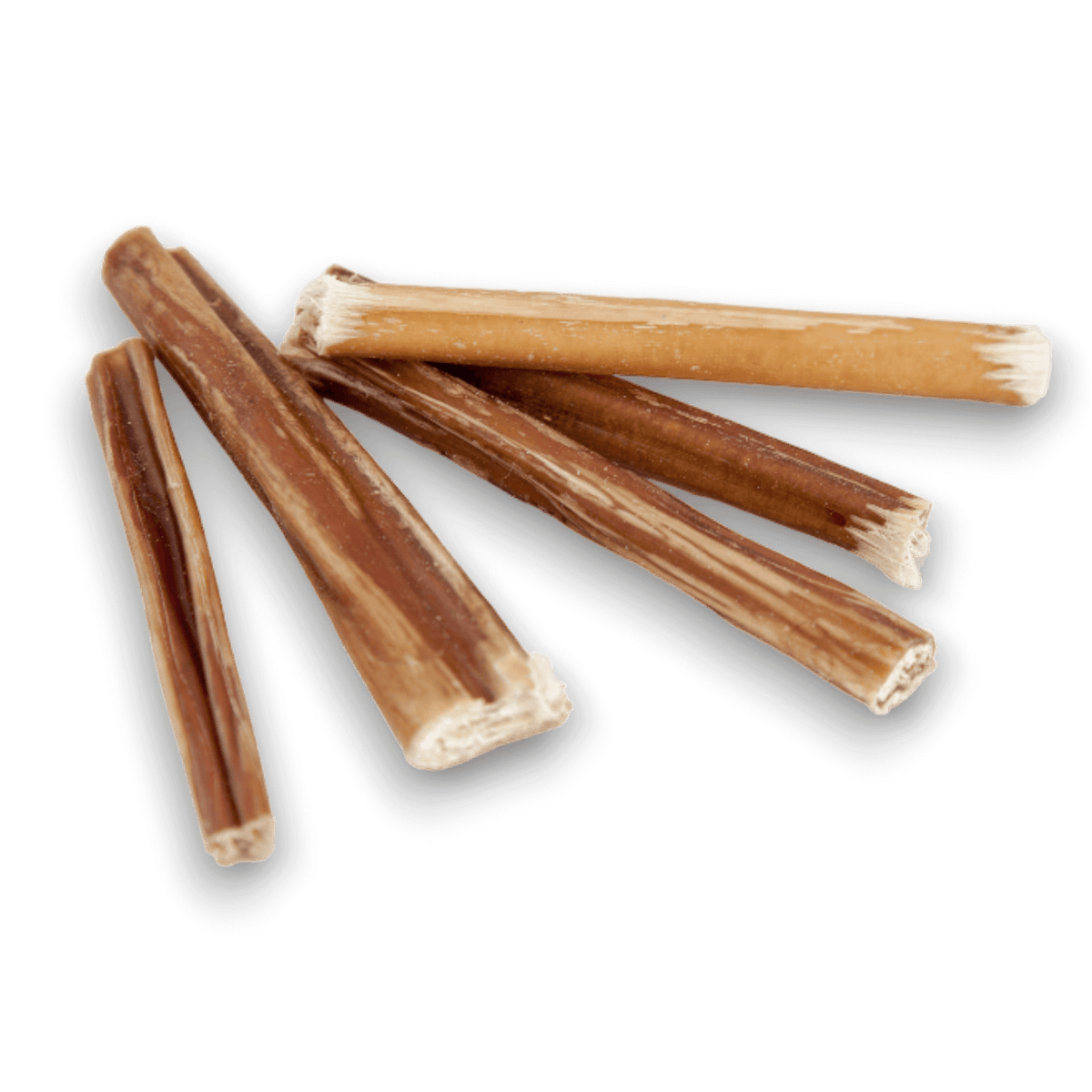 6 inch bully stick dog chews on a transparent background.