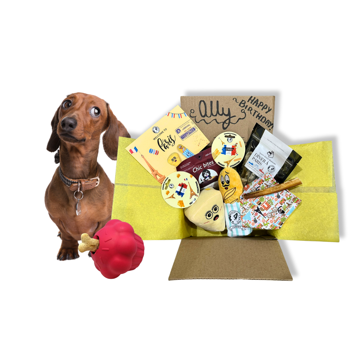 WoofCrate monthly dog subscription box with special birthday treats and toys - Personalized Happy Birthday themed dog box with treats and toys unboxing