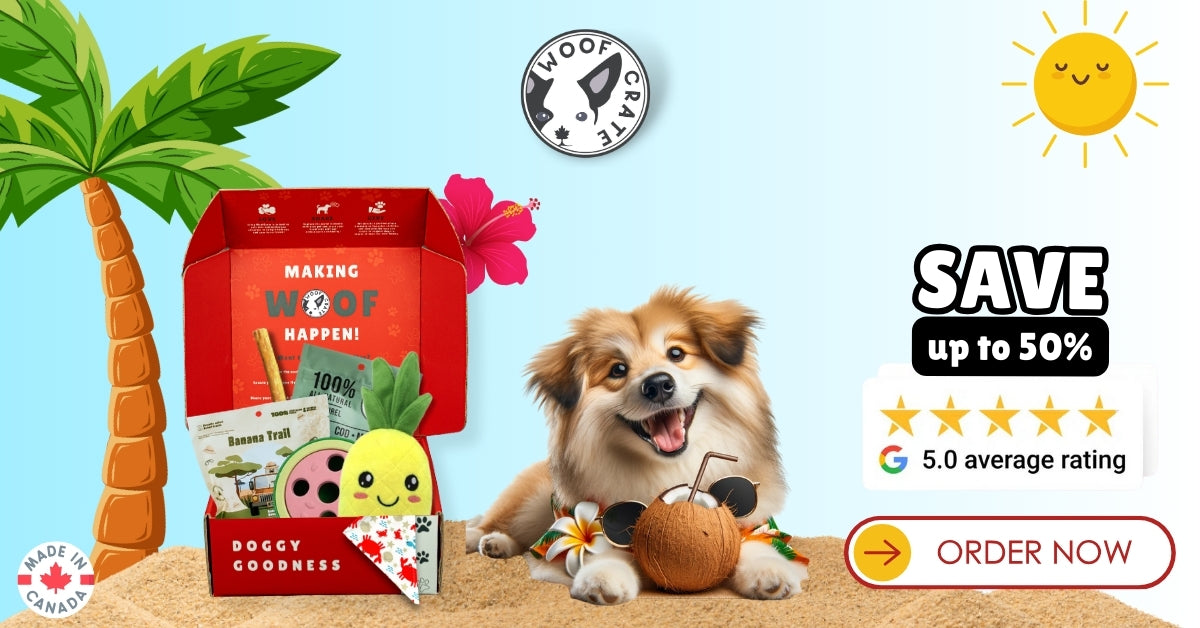 Canadian dog subscription box hotsell