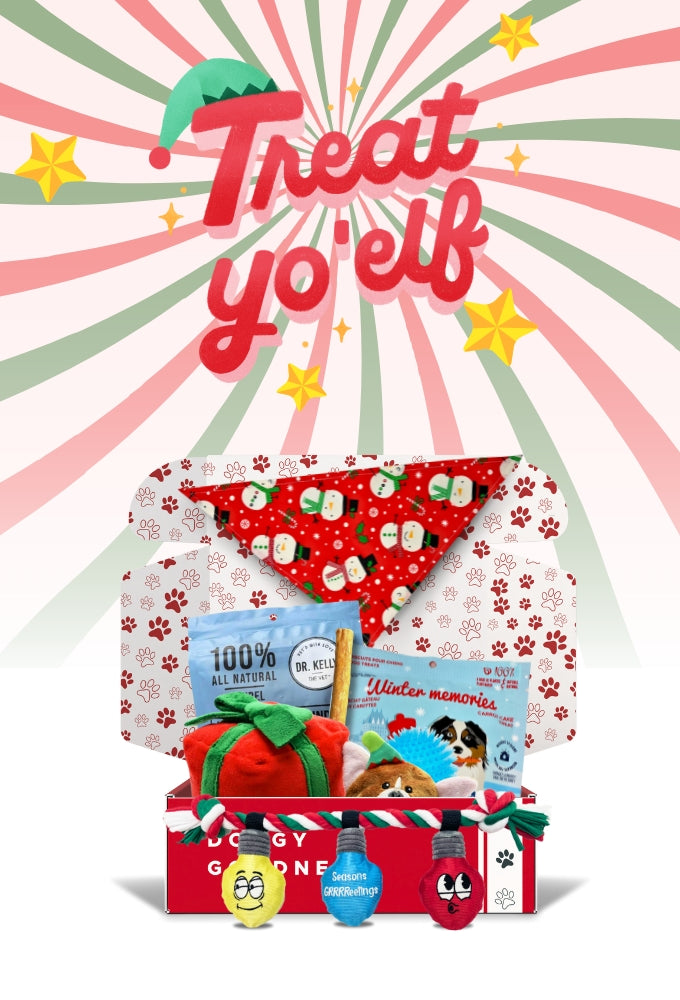 WoofCrate Treat Yo’Elf holiday dog box featuring Christmas-themed toys, festive treats, and a red holiday bandana