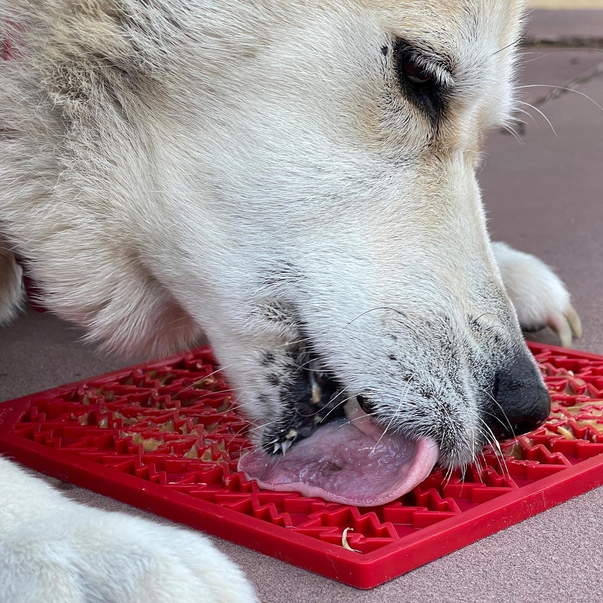 Dog licking a red Christmas Tree lick mat