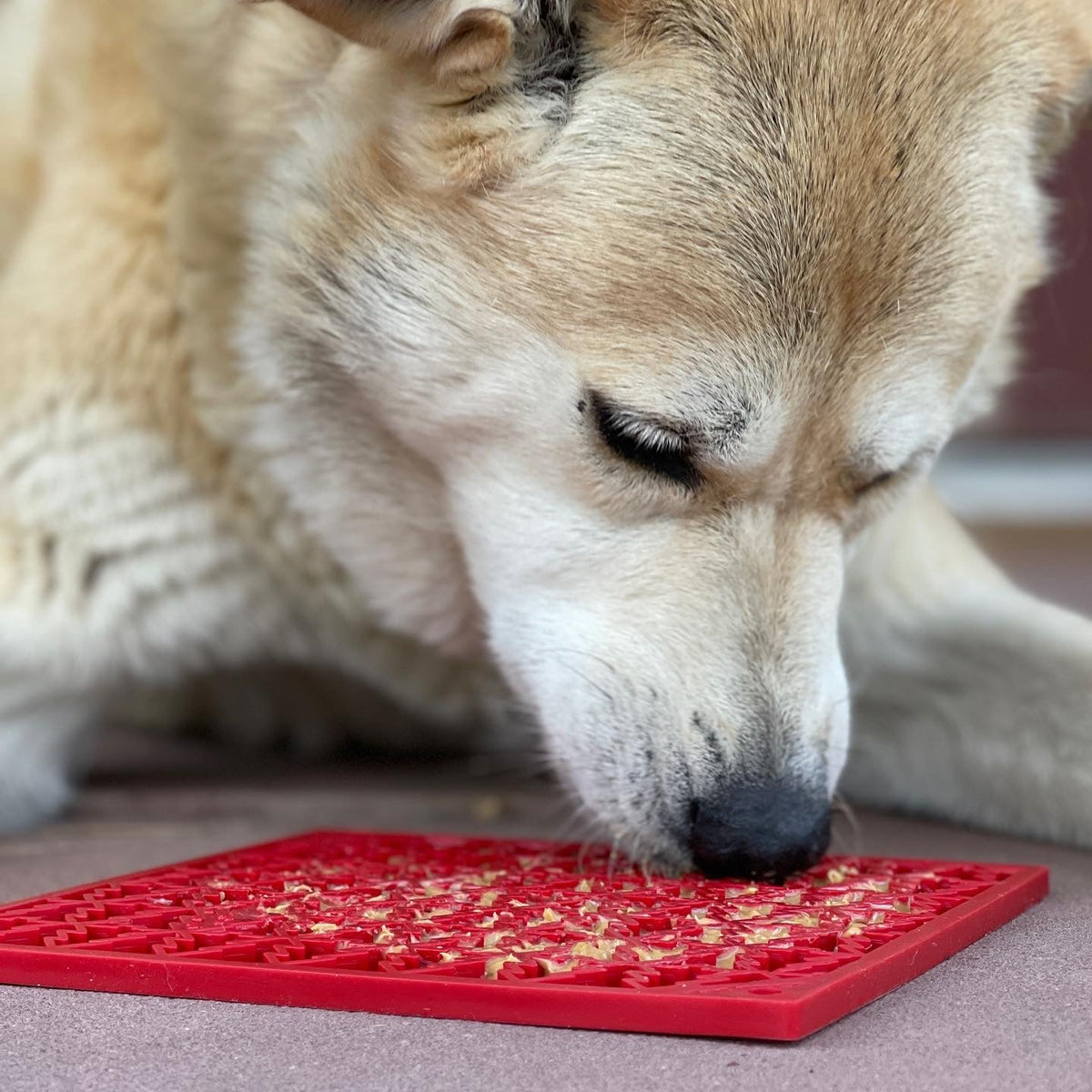 Dog licking a spread off a red Christmas Tree lick mat