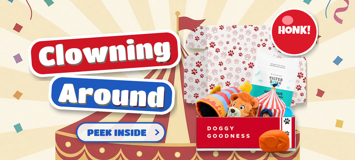 WoofCrate Clowning Around circus themed dog subscription box with dog toys and treats
