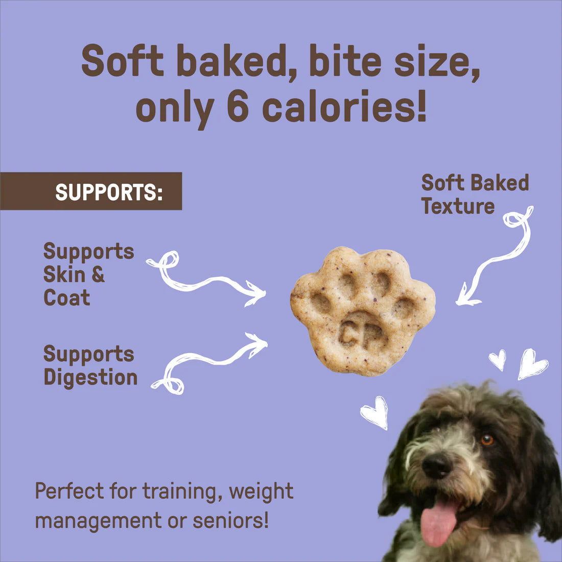 CookiePal Blueberry & Pumpkin Soft Bakes Bites