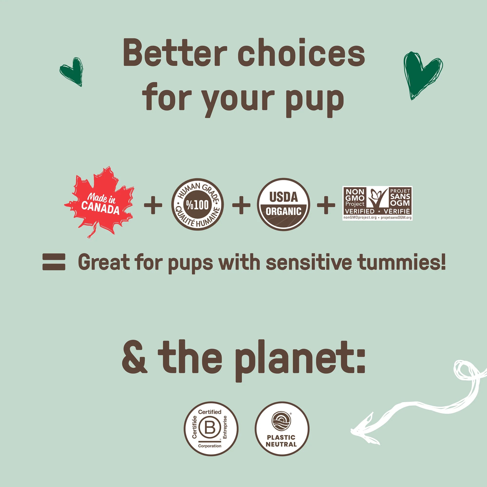 CookiePal Gingerbread Holiday Dog Treats