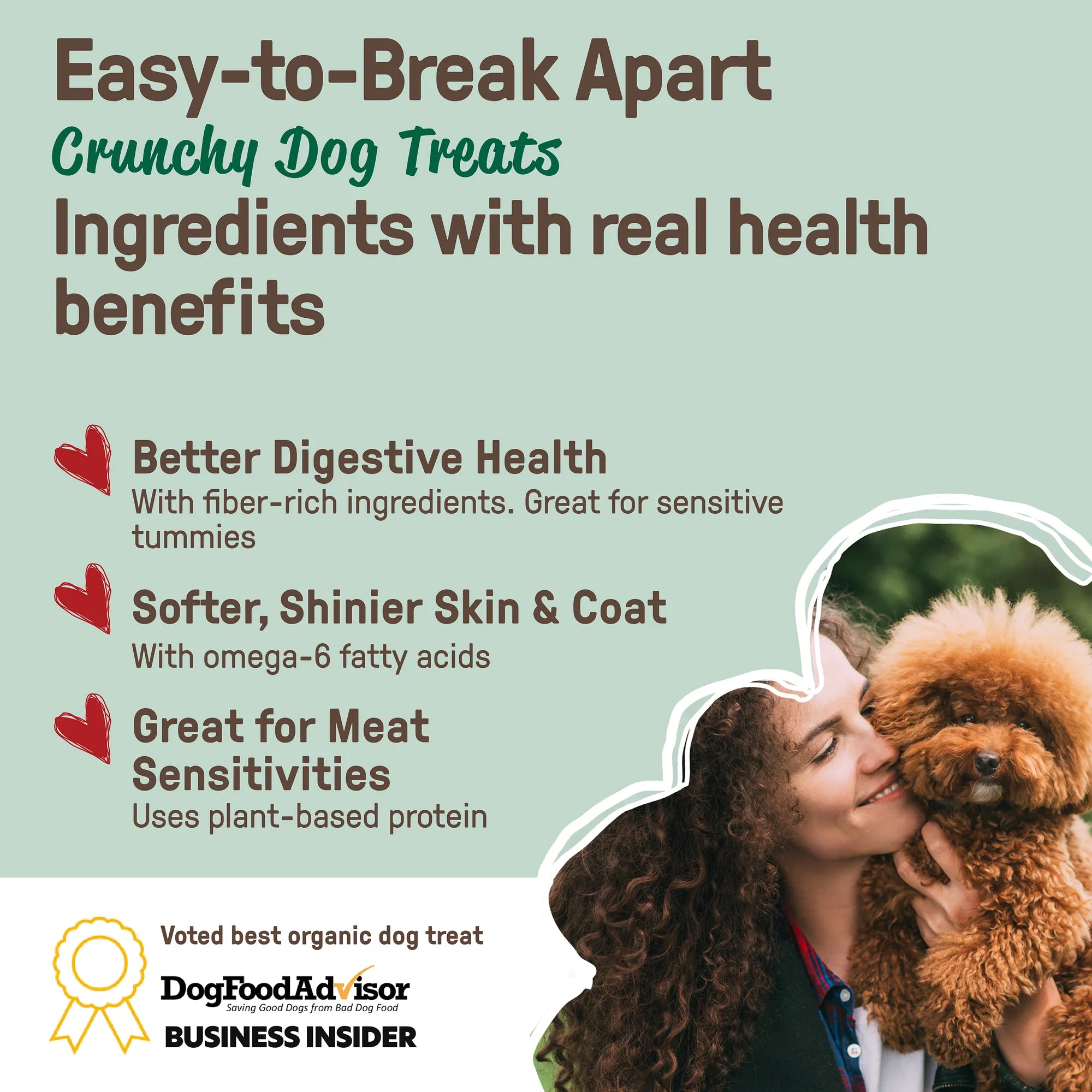 CookiePal Gingerbread Holiday Dog Treats