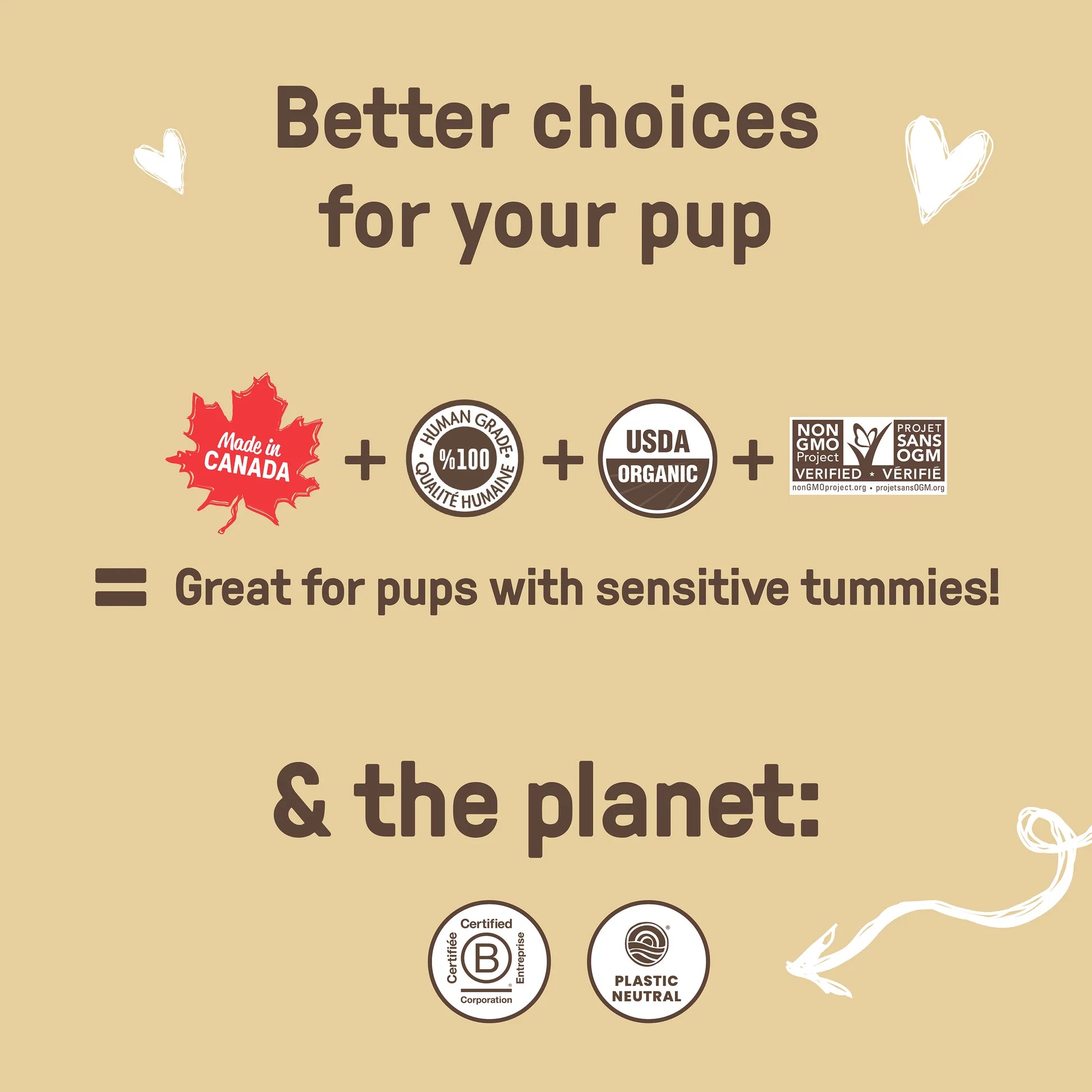 CookiePal Pumpkin Spice 'N Everything Nice