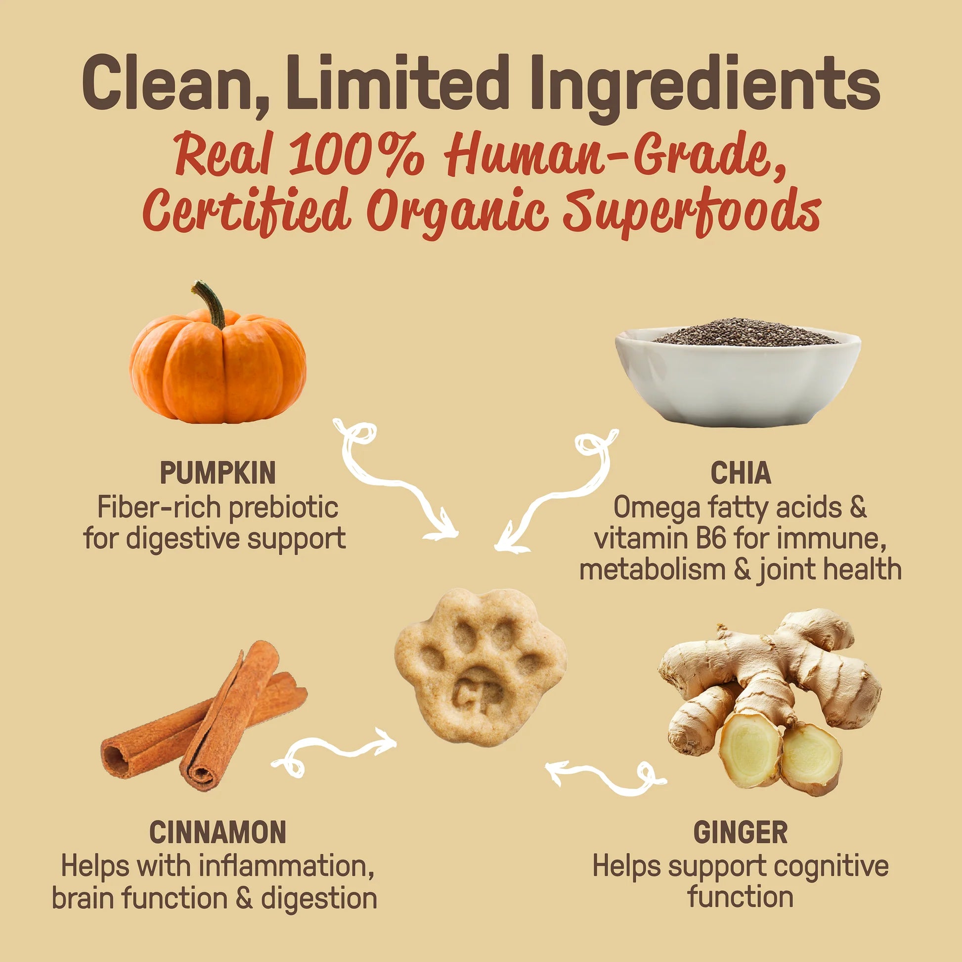 CookiePal Pumpkin Spice 'N Everything Nice