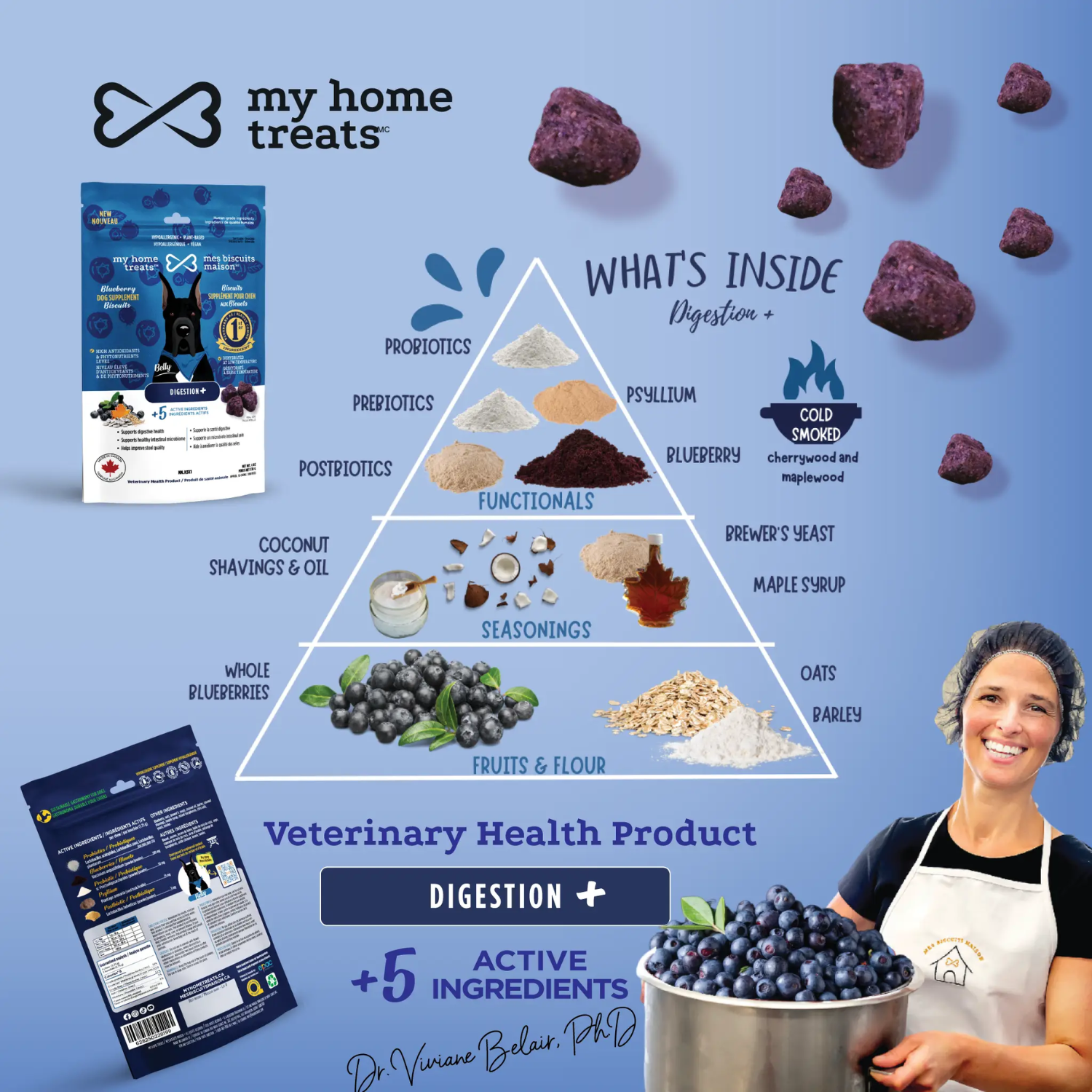 Friandise naturelle pour la digestion et la santé intestinale des chiens