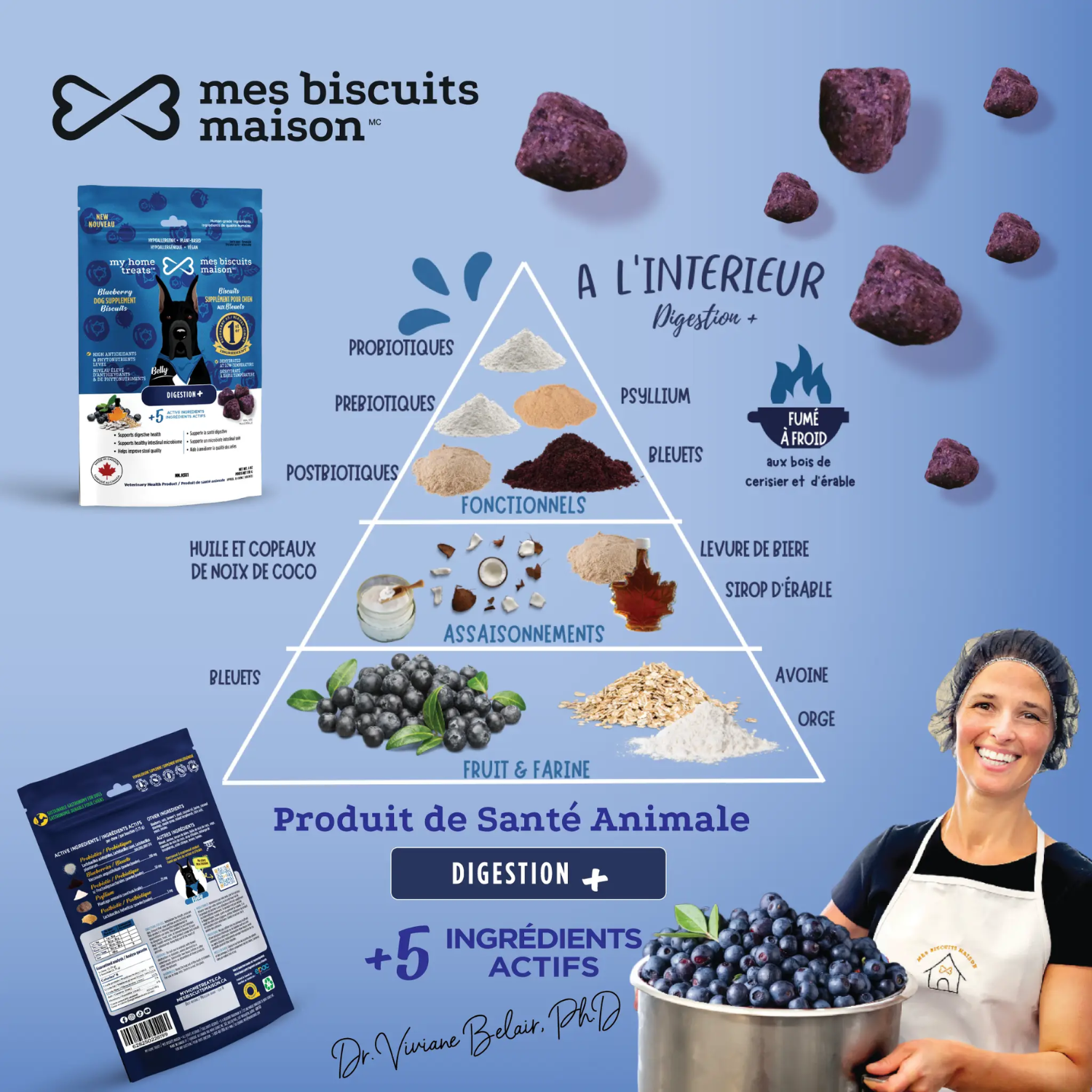 Friandise naturelle pour la digestion et la santé intestinale des chiens