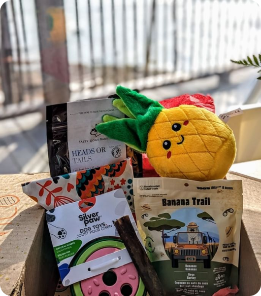 WoofCrate Premium Monthly Dog Subscription Box In Canada