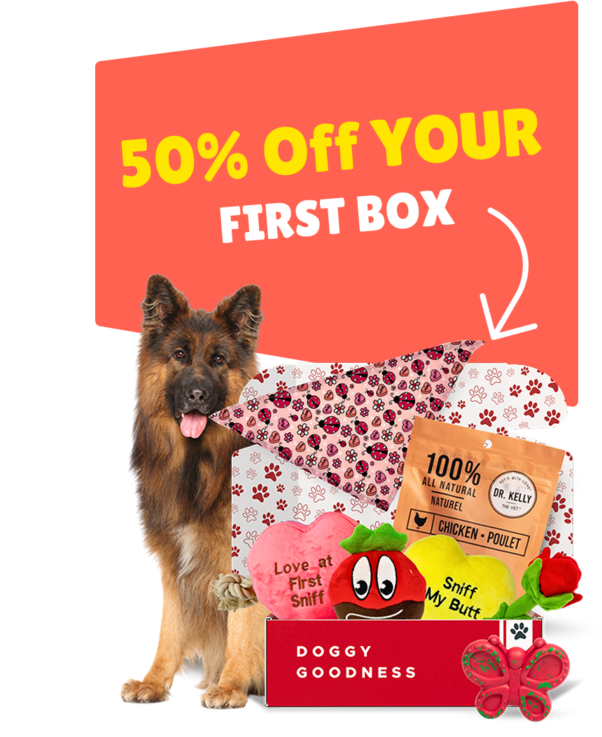 Dog subscription box with treats, plush toys, and a 50% discount banner, starring a German Shepherd beside the box