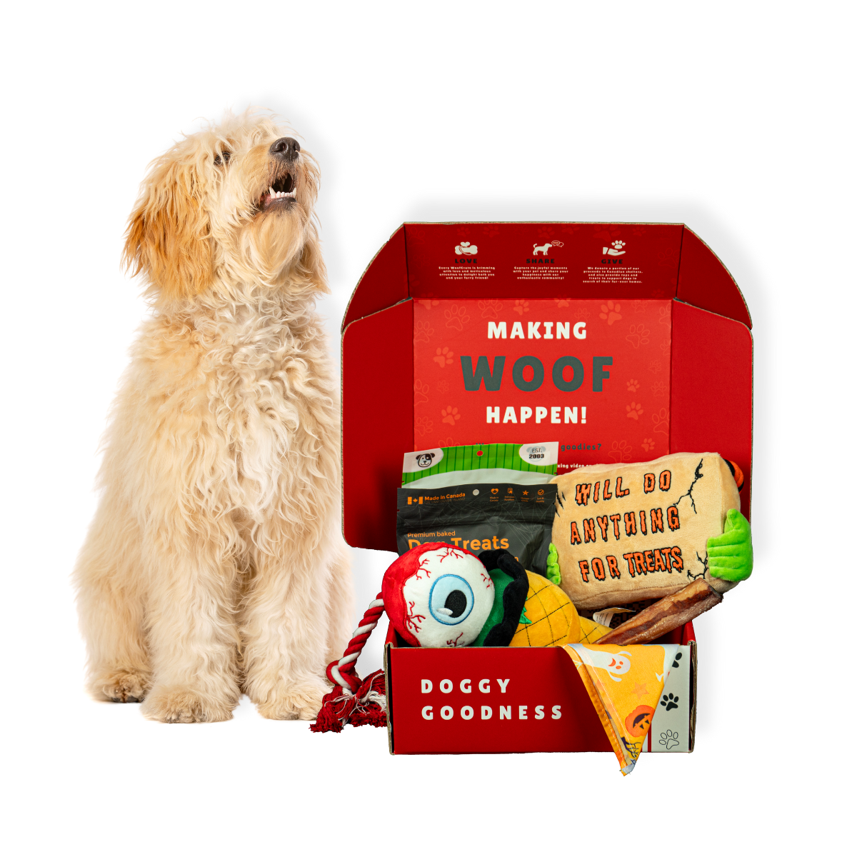 Happy dog sitting next to their WoofCrate monthly Canadian dog subscription box