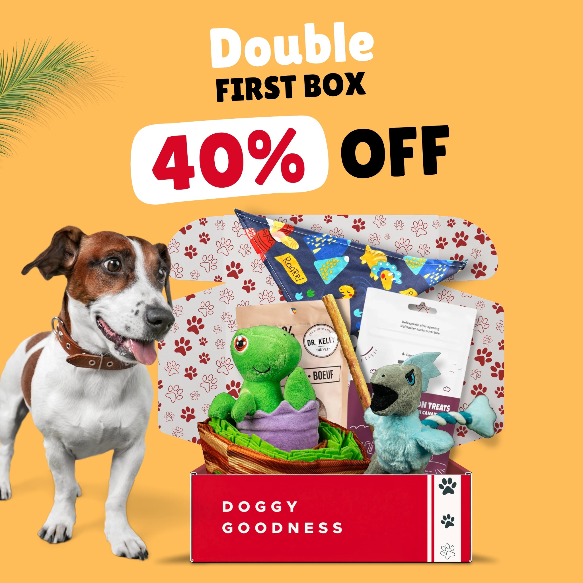 Dog next to WoofCrate open box with plush toys, treats, and bandana, with 40% off double first box offer in bold text