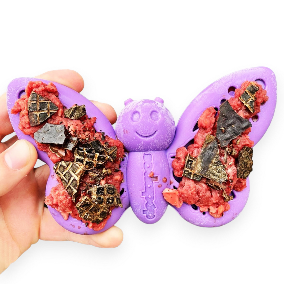 Butterfly Durable Nylon Chew Toy