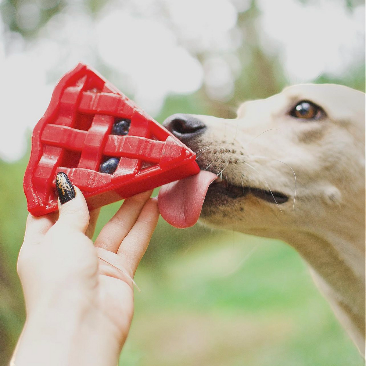 Cherry Pie Durable Nylon Chew Toy