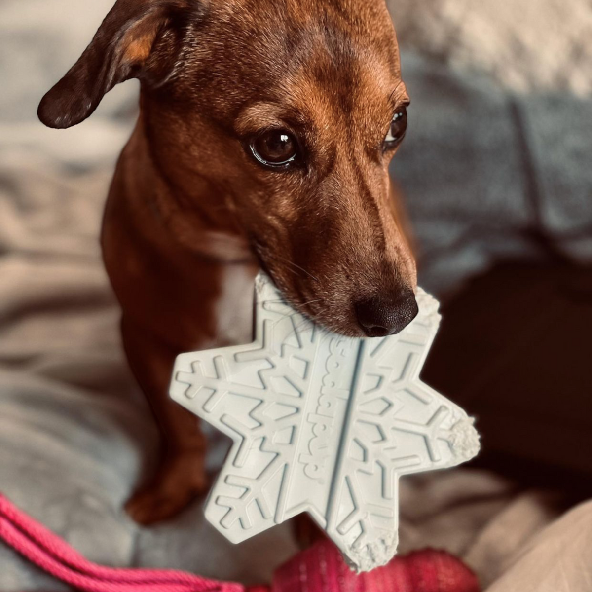 Snowflake Durable Nylon Chew Toy