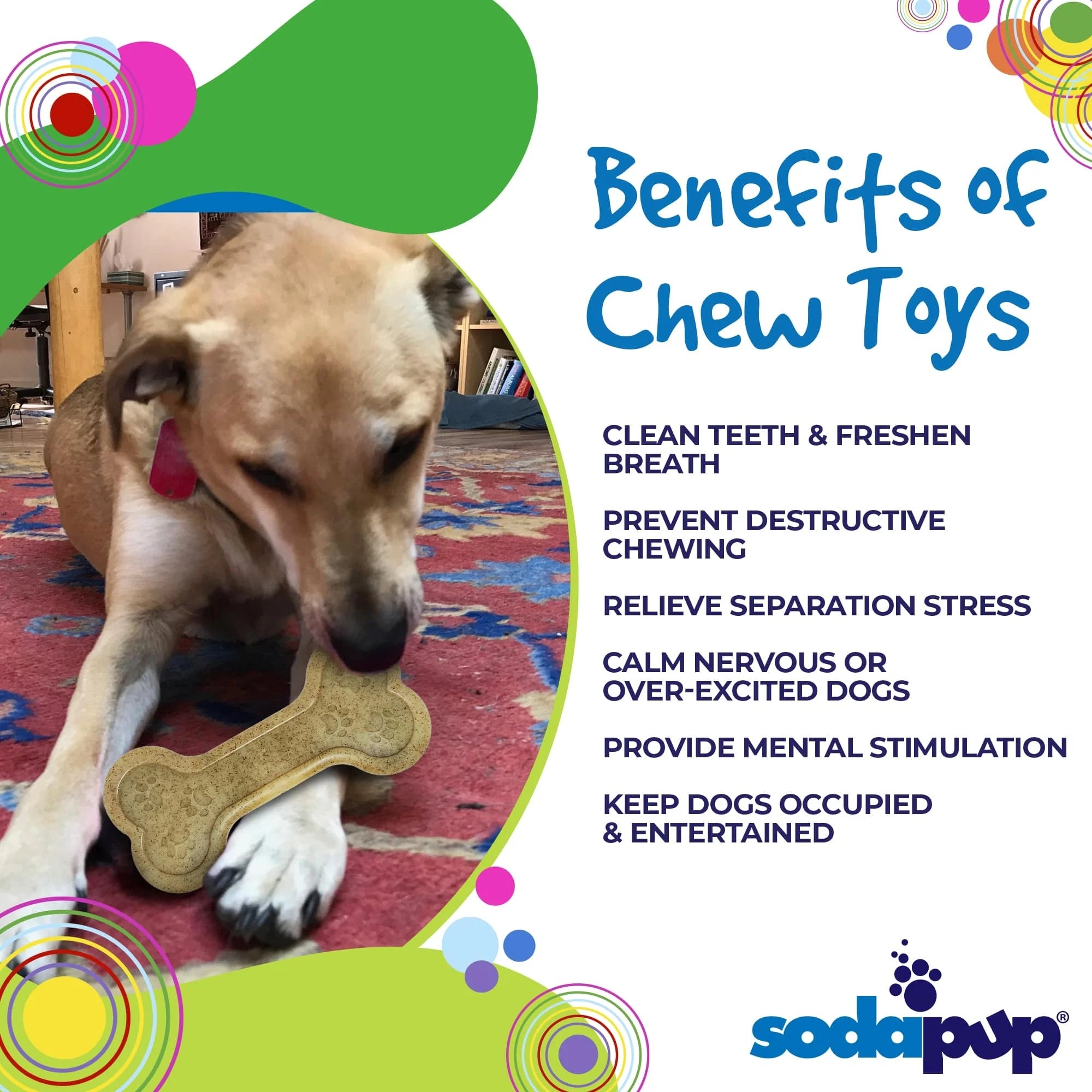 A dog chewing on a bone-shaped toy on a colorful rug, next to a list of benefits of chew toys