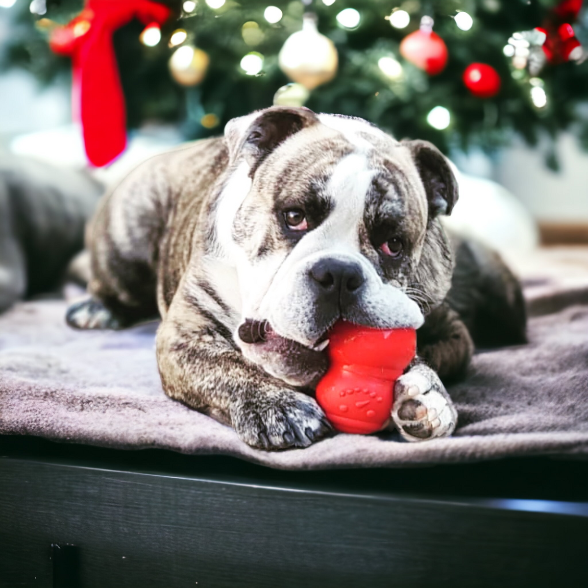 Durable Snowman Treat Dispenser