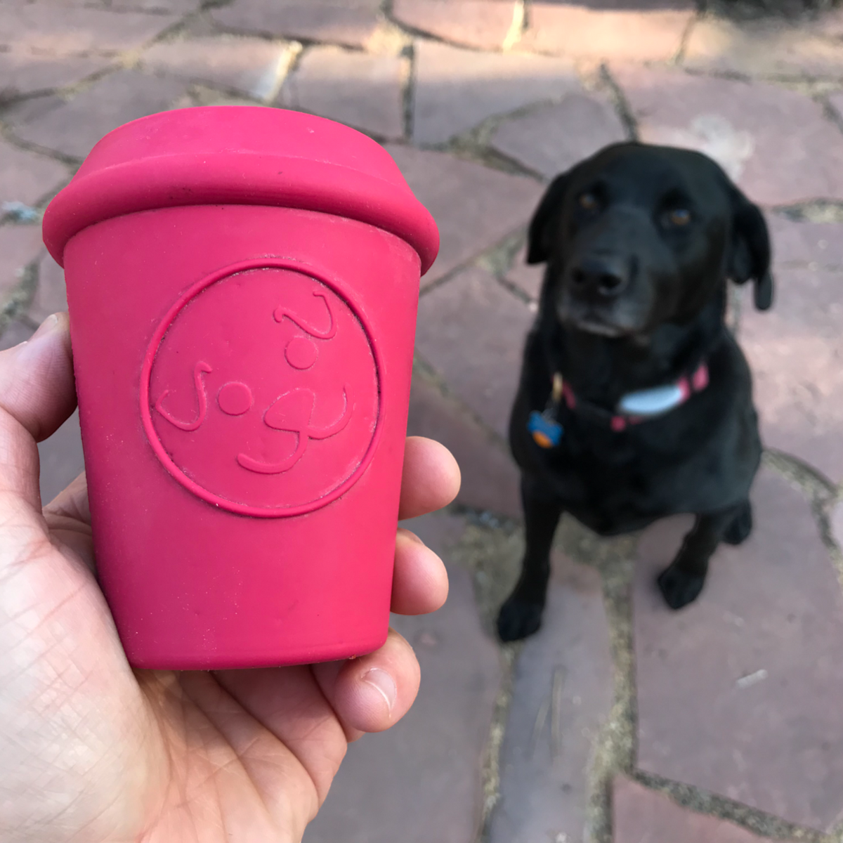 Tasse à café durable