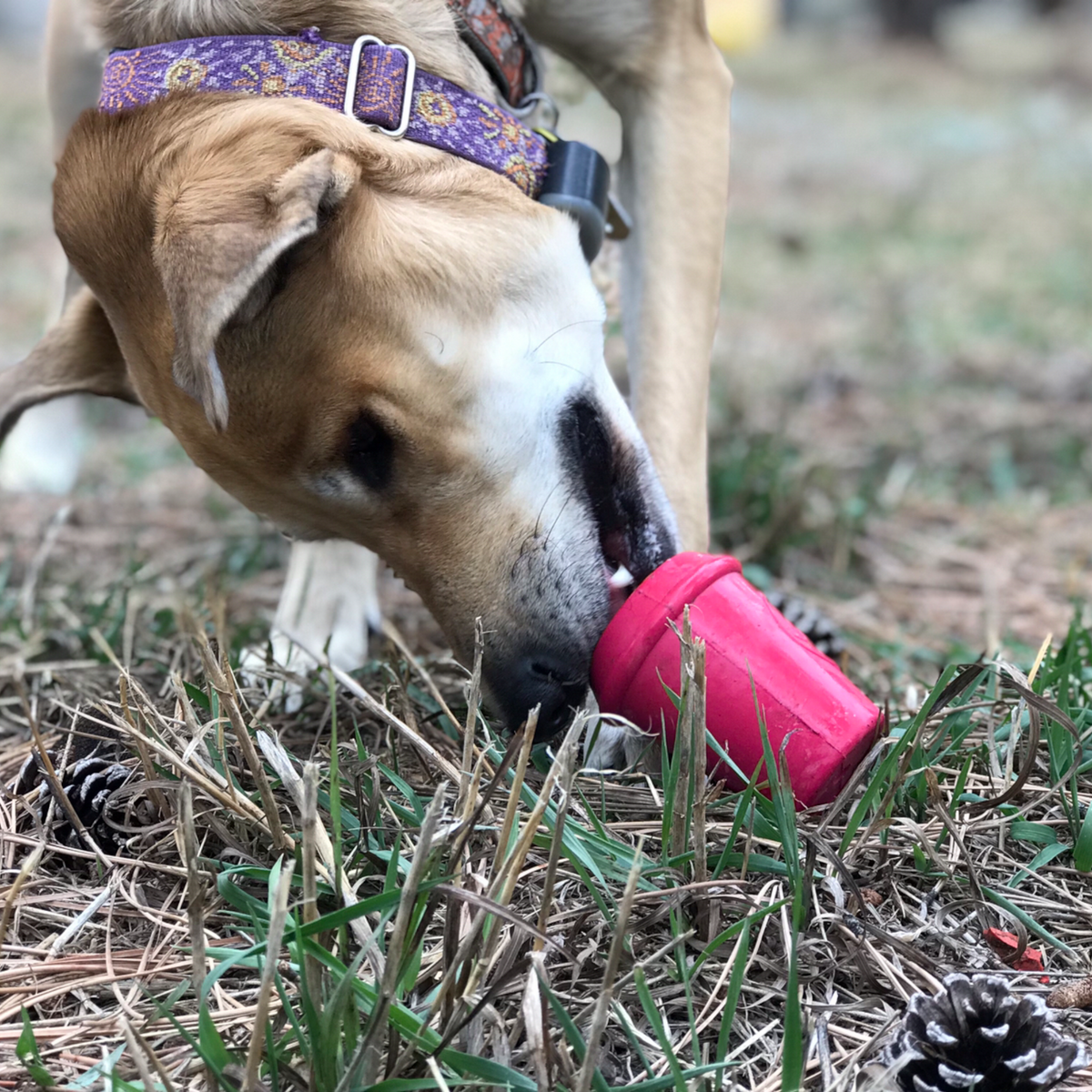 Durable Coffee Cup