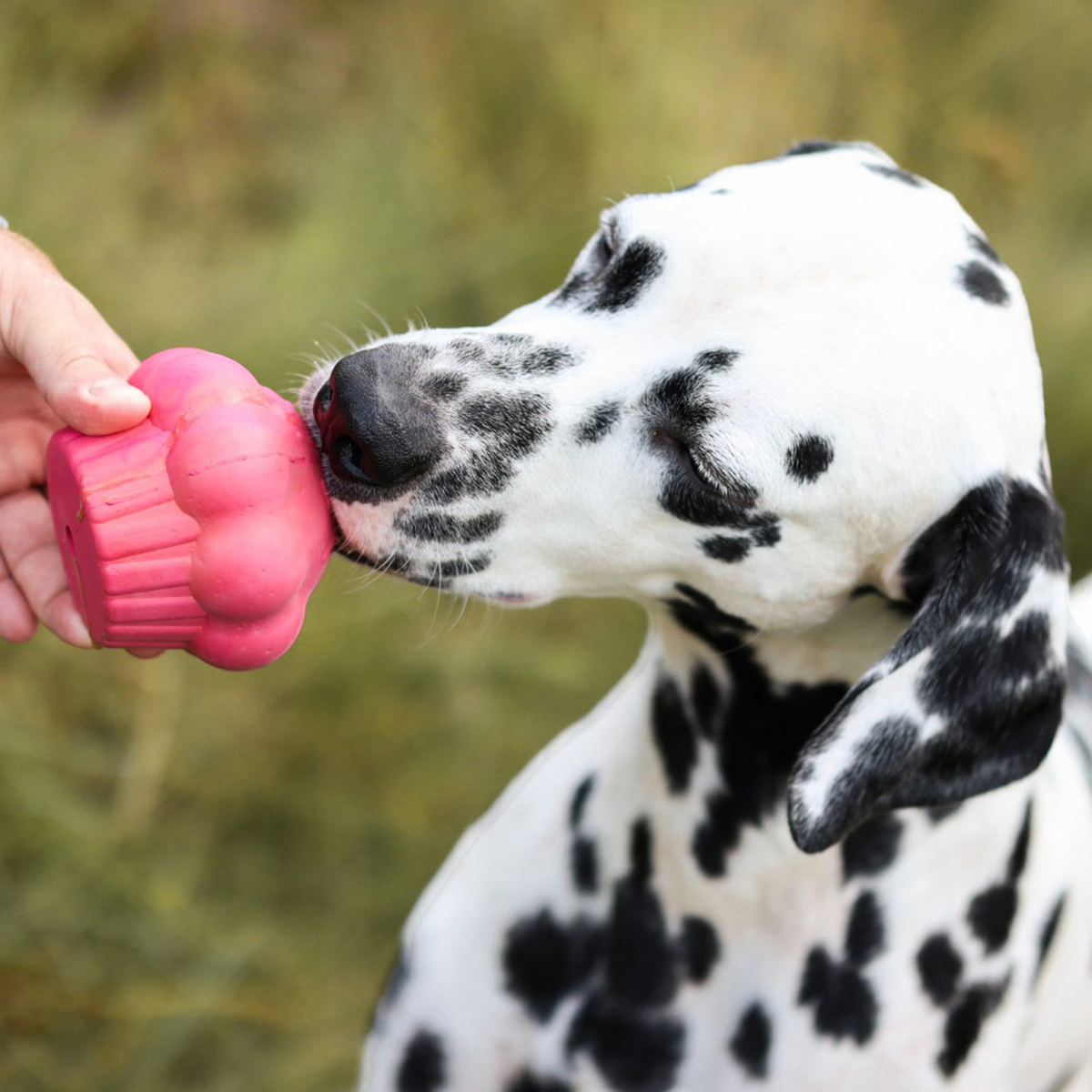 Durable Cupcake Dog Toy Treat Dispenser