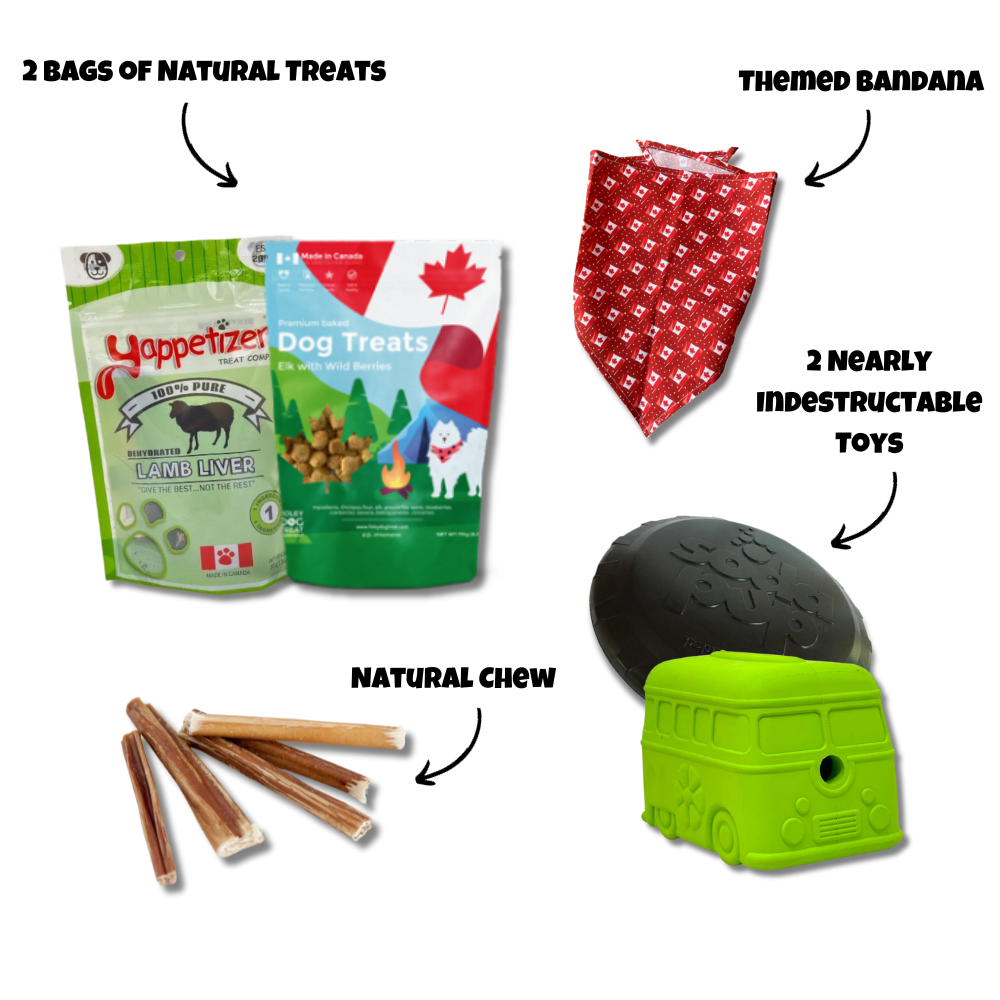 WoofCrate dog subscription box called The Dukes Crate. Displaying the contents of the box such as 2 indestructible dog toys, natural bully stick, 2 bags of natural dog treats and a themed bandana.