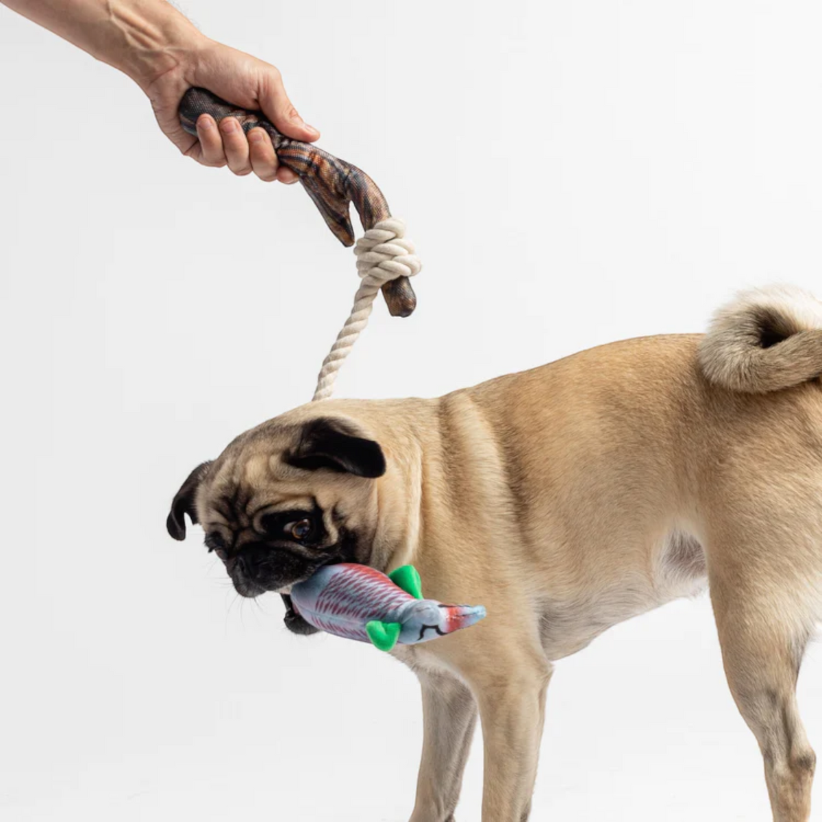 Jouets en peluche pour chien en forme de poisson et de bocal Mason