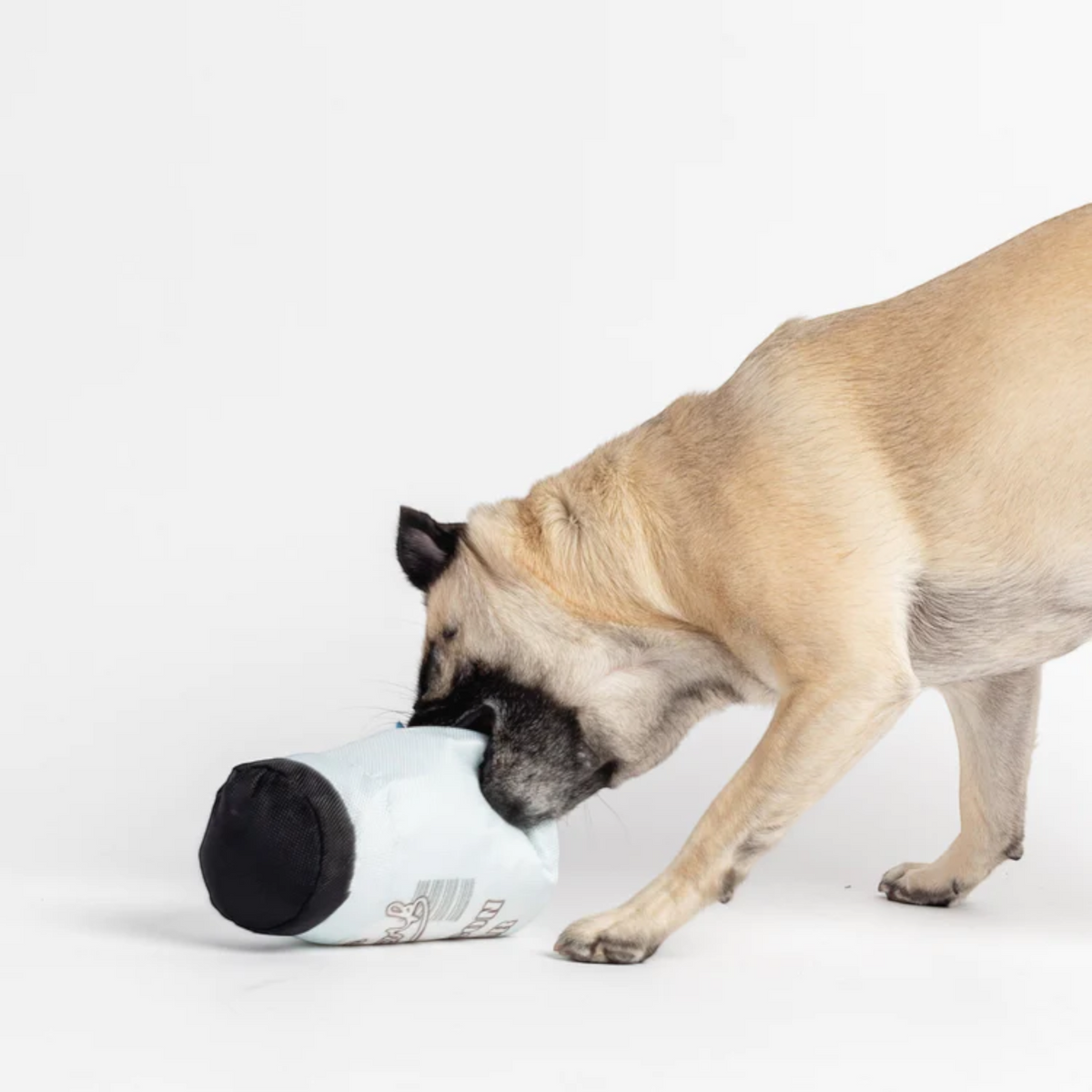 Jouets en peluche pour chien en forme de poisson et de bocal Mason