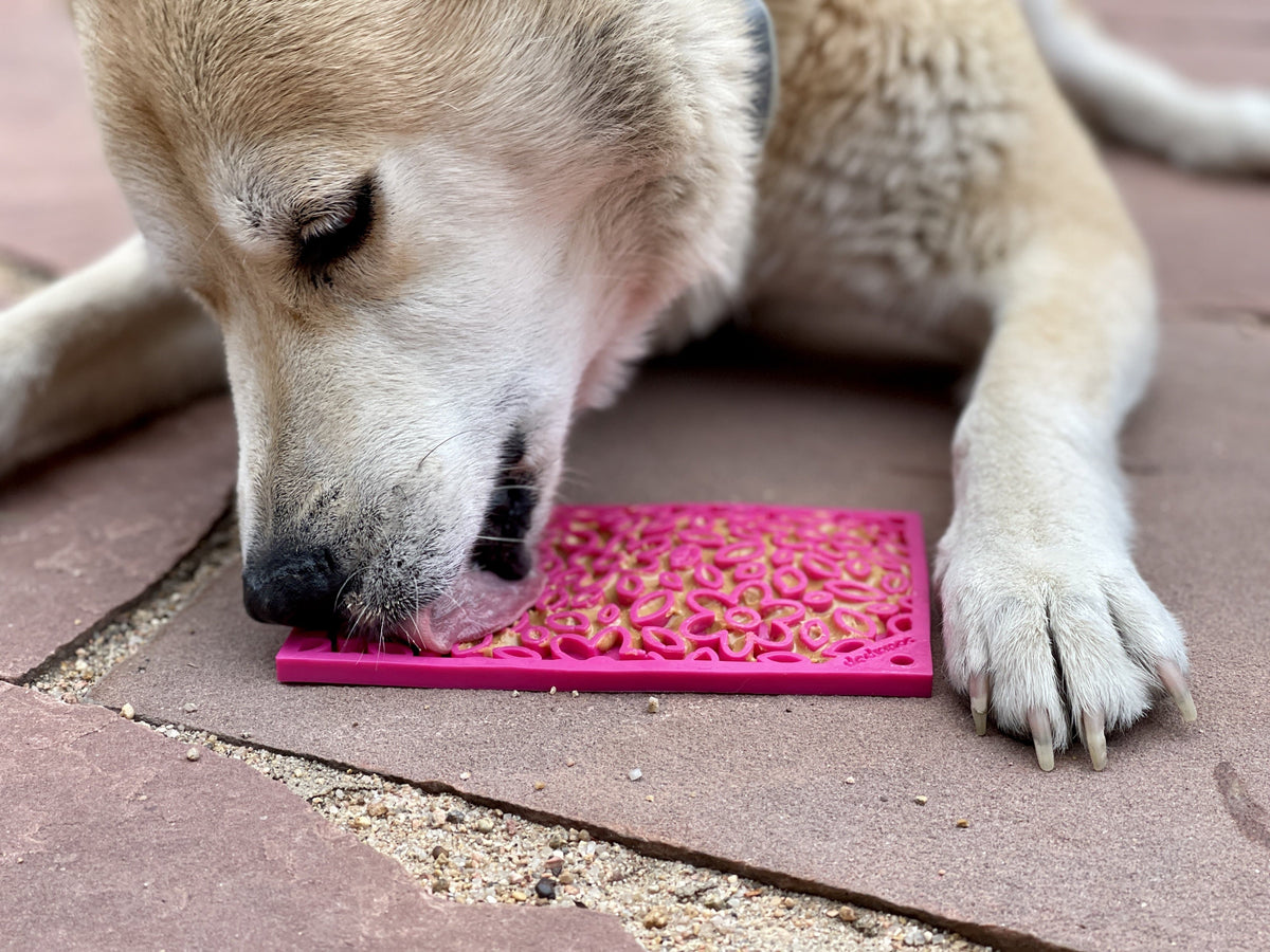 Dog licking a pink Flower Power lick mat on the floor