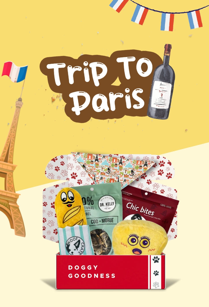 WoofCrate’s ‘Trip to Paris’ box with French-themed dog toys, cod treats, and an Eiffel Tower bandana
