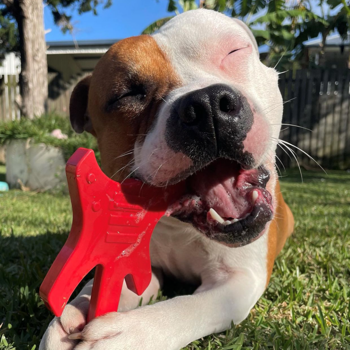 Jouet à mâcher en nylon durable pour chien en forme de guitare