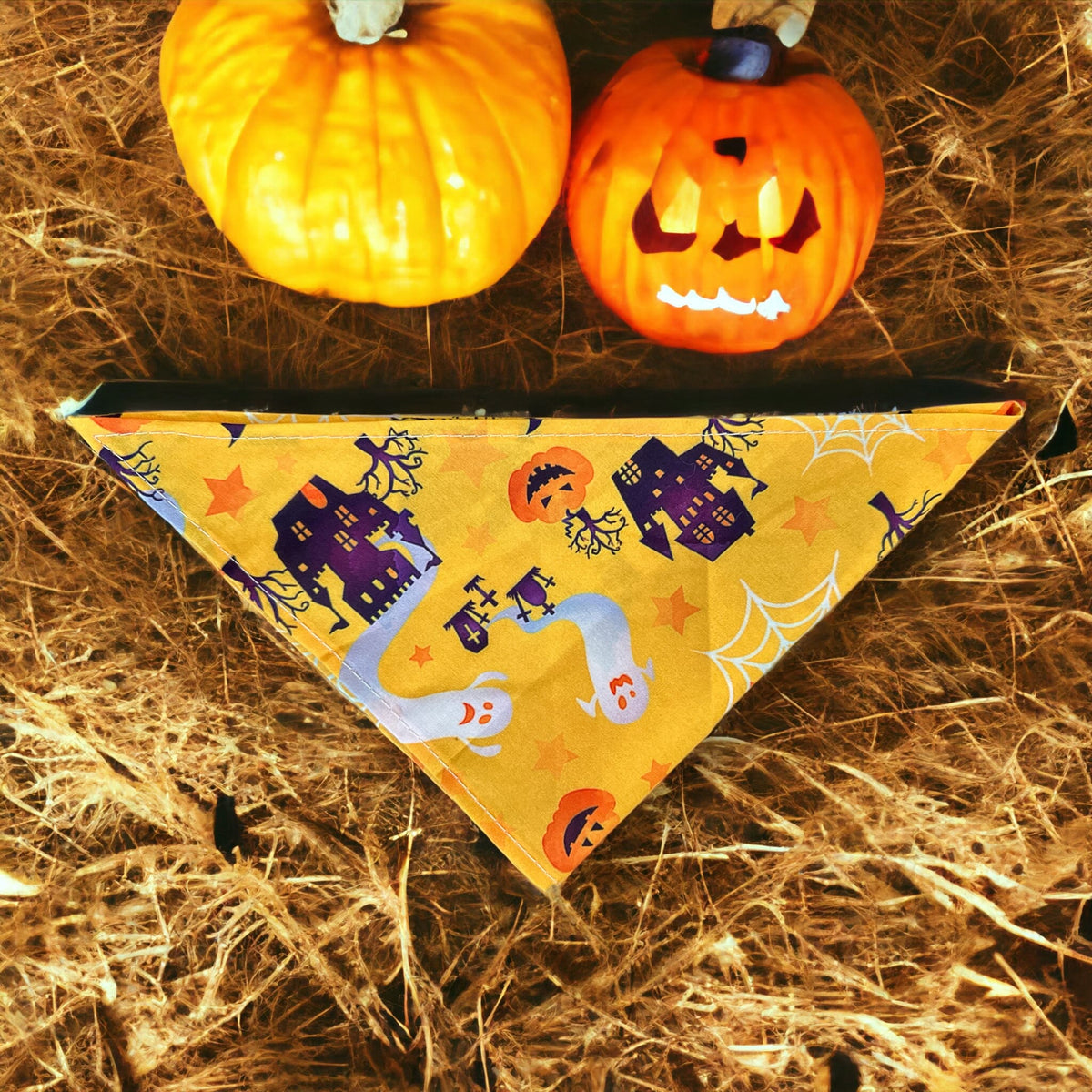 Halloween Dog Bandana