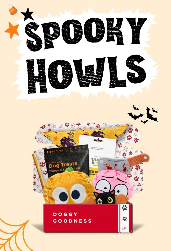 WoofCrate monthly dog subscription box featuring halloween-themed dog toys and treats
