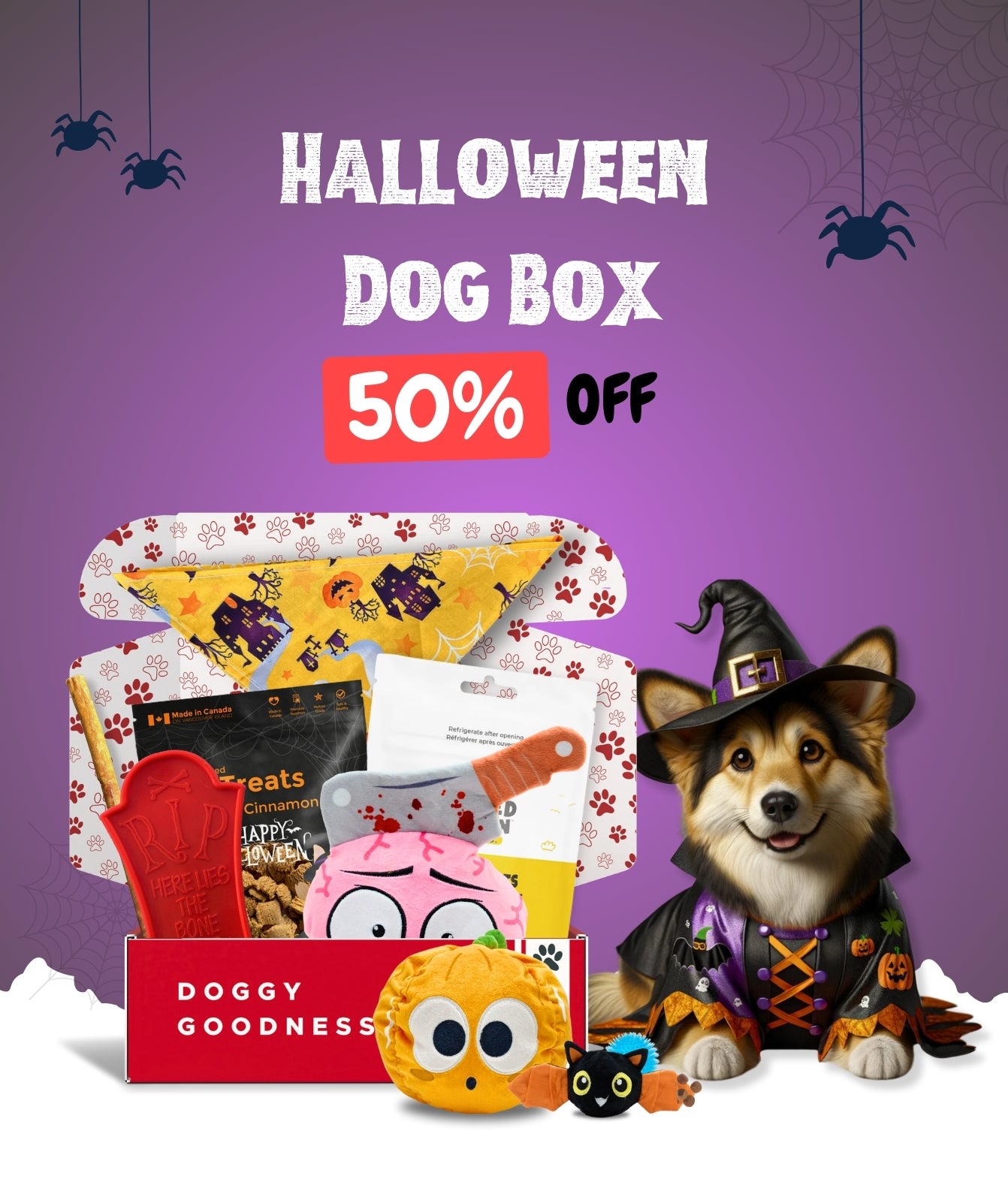 WoofCrate themed dog subscription box with toys, treats, and a 50% discount offer for the first box.