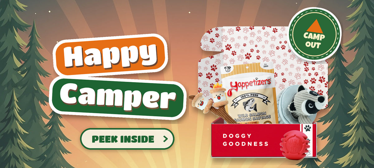 WoofCrate Happy Camper camping themed dog subscription box with dog toys and treats