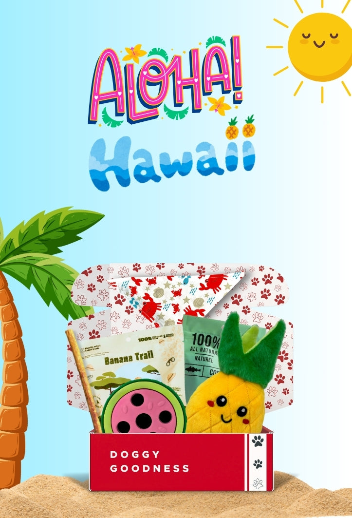 WoofCrate Aloha, Hawaii-themed dog subscription box with a plush pineapple toy, tropical dog treats, and a beachy bandana