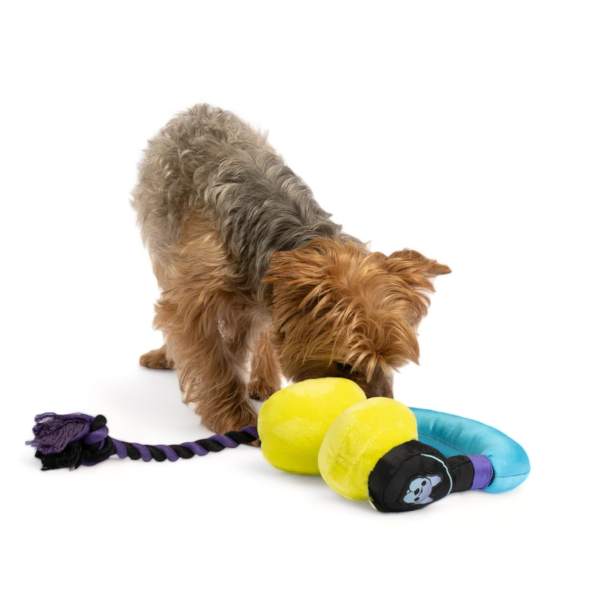 Headphones Dog Toy