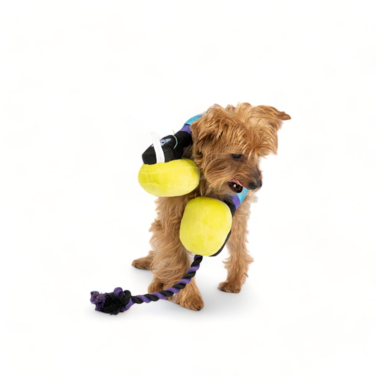 Headphones Dog Toy