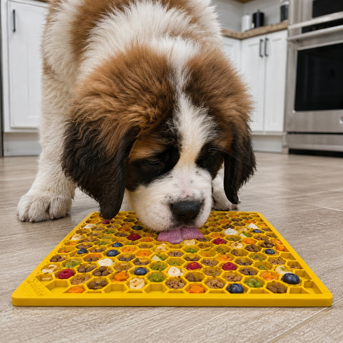 St Bernard puppy with a yellow Honeycomb lick mat