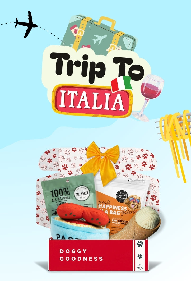 WoofCrate monthly dog subscription box featuring special Italian-themed treats and toys