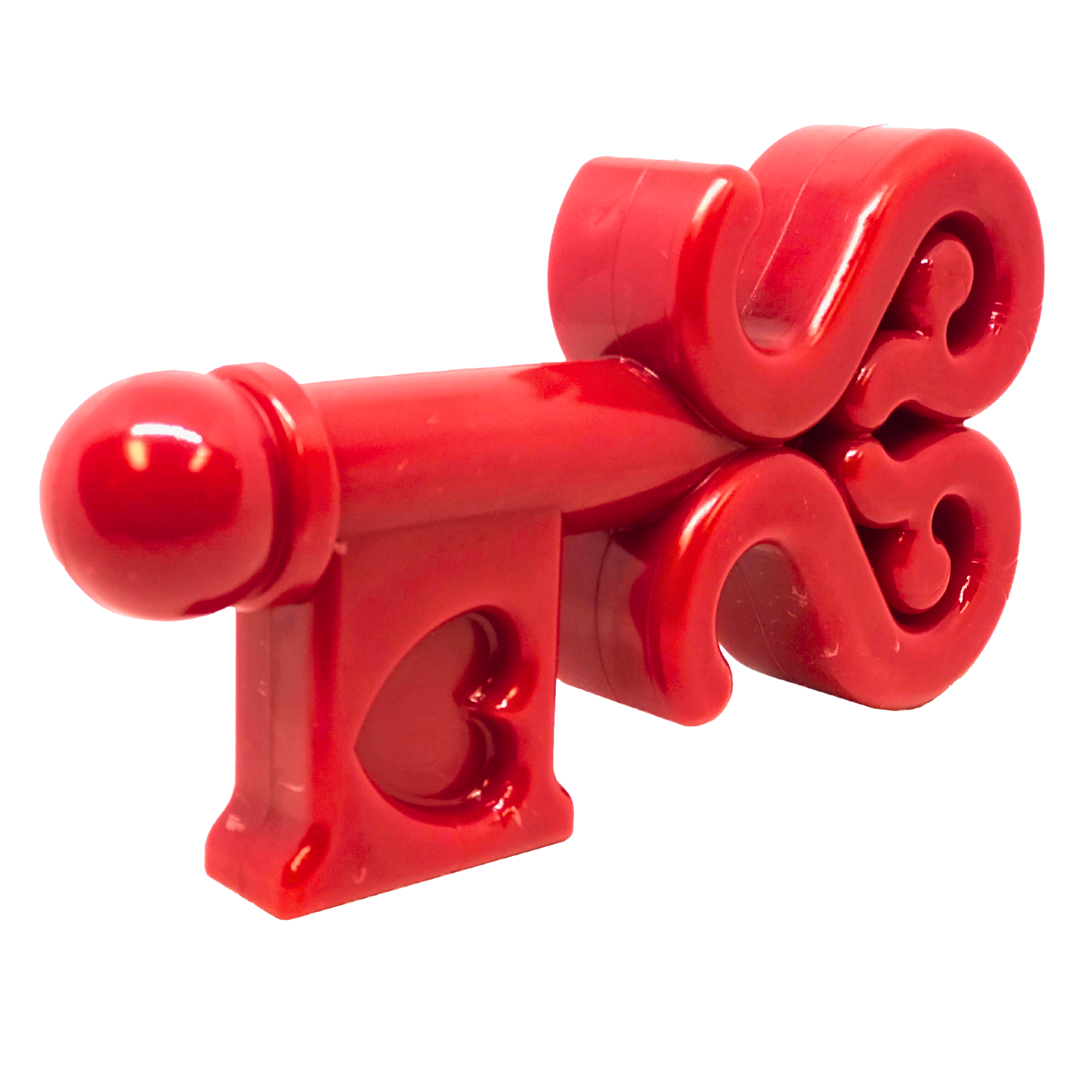 Durable Key To My Heart Nylon Chew Dog Toy