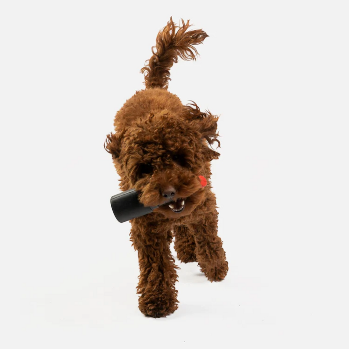 Lipstick Rubber Dog Toy