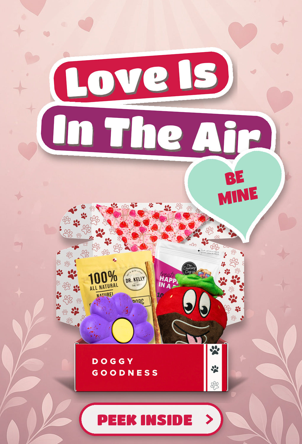 Love Is In The Air Valentine's themed WoofCrate dog box with toys and treats, Peek Inside