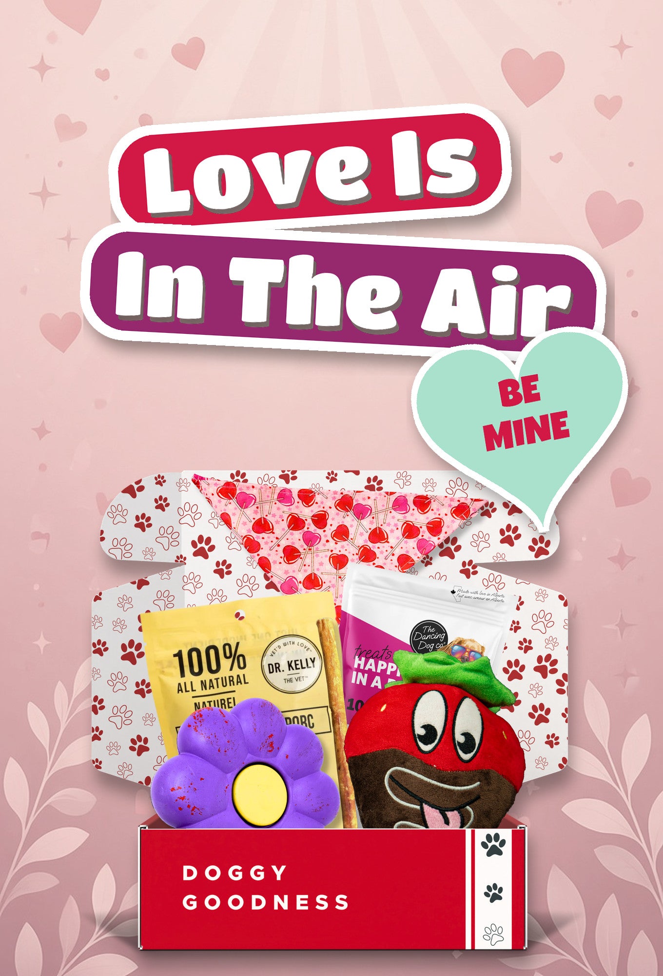 Love Is In The Air Valentine's themed WoofCrate dog box with toys and treats