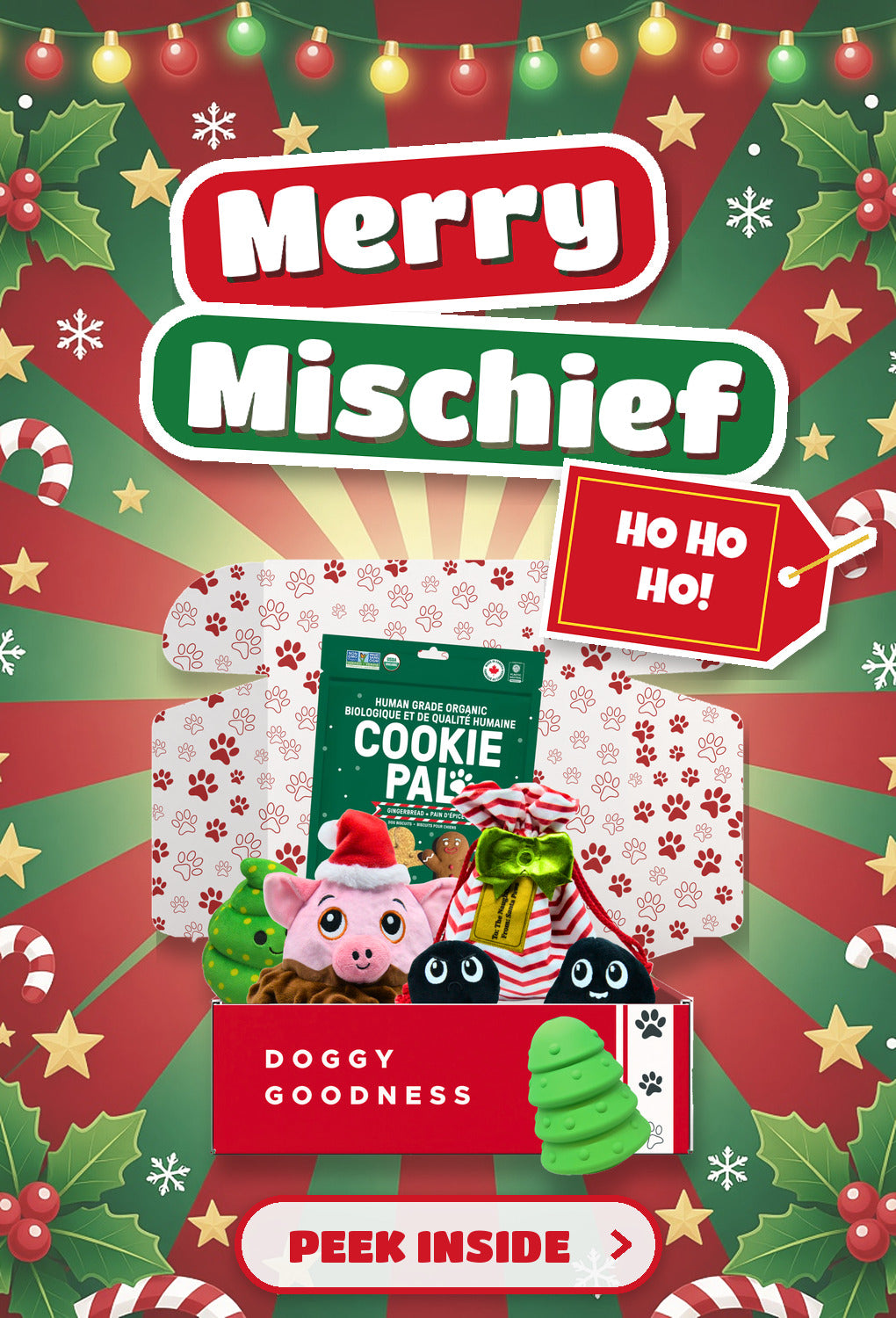 WoofCrate Merry Mischief Christmas themed dog box - Peek Inside