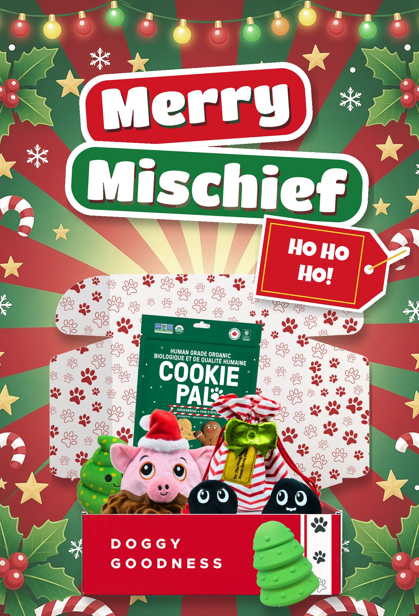 Merry Mischief Christmas themed WoofCrate dog box with toys and treats