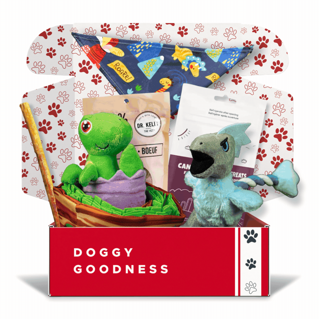 Animated GIF showcasing a variety of monthly-themed dog boxes, each filled with unique toys, treats, and accessories